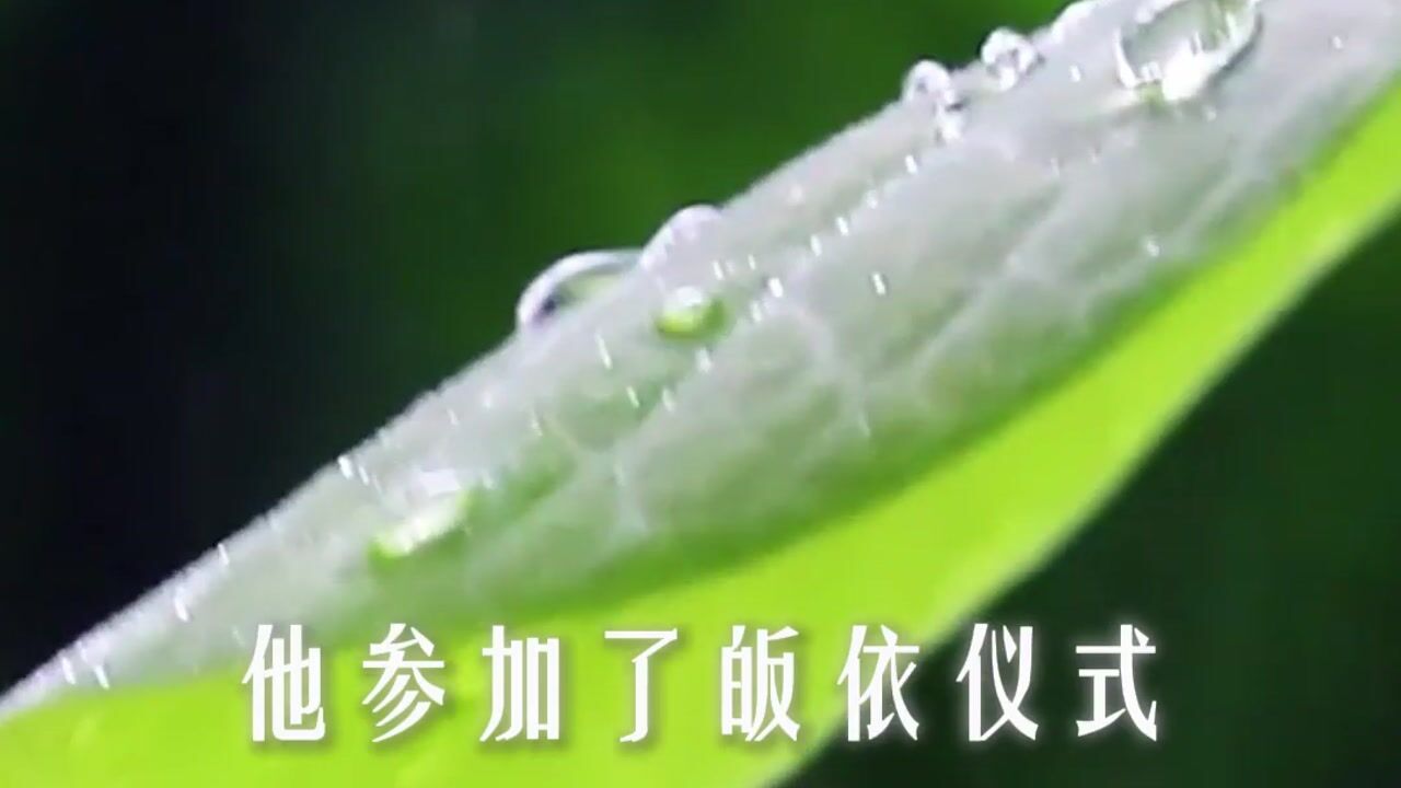 没有参加仪式算不算皈依？