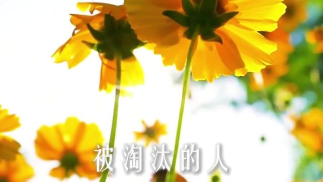 慈悲心就是不能和人竞争吗？