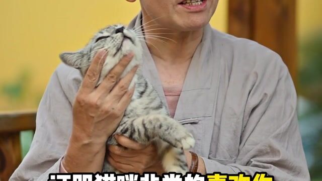 猫的尾巴会说话——真严法师