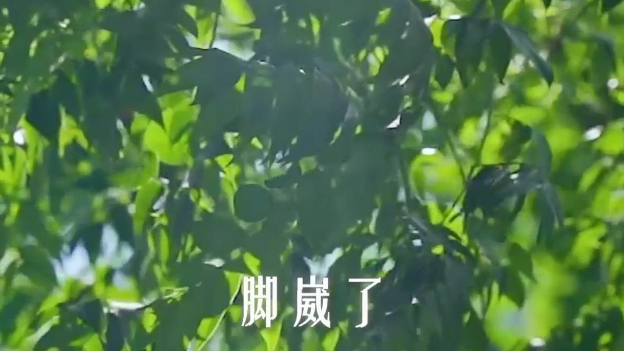 老人的离去，会影响后辈吗？
