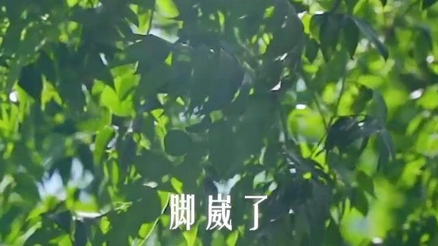 老人的离去，会影响后辈吗？