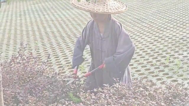通明小师傅