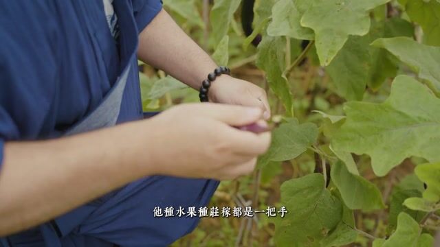 东华农禅