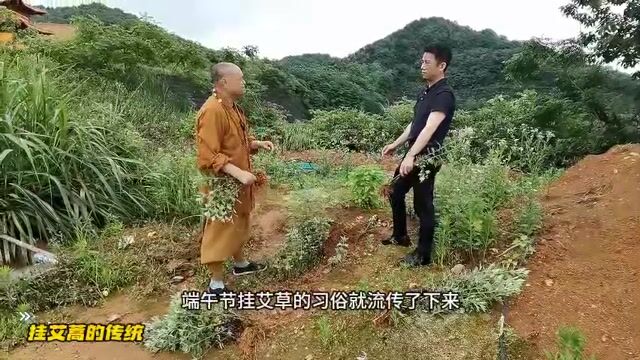 挂艾蒿的传统