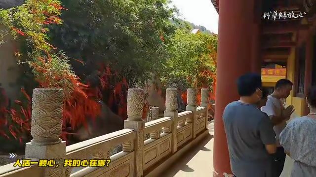 人活一颗心，我的心在哪？