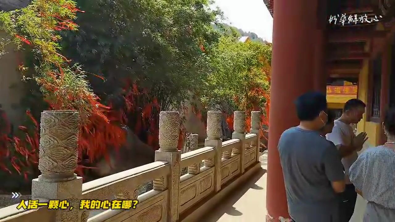人活一颗心，我的心在哪？