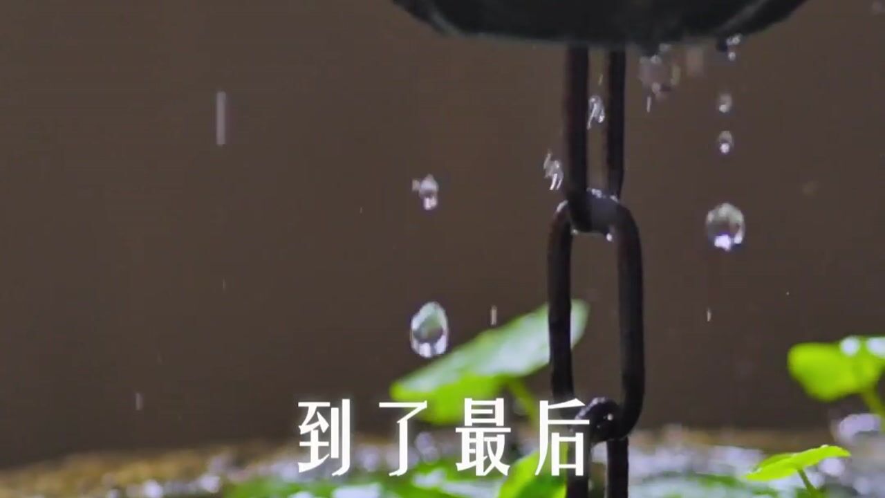 为什么很多事情背后的原理都是相通的？