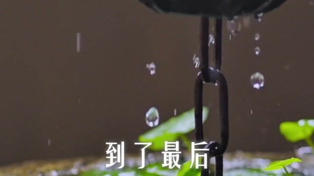 为什么很多事情背后的原理都是相通的？