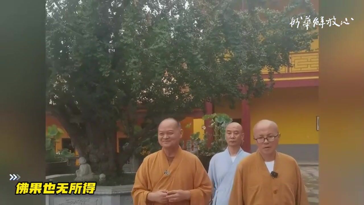 佛果也无所得