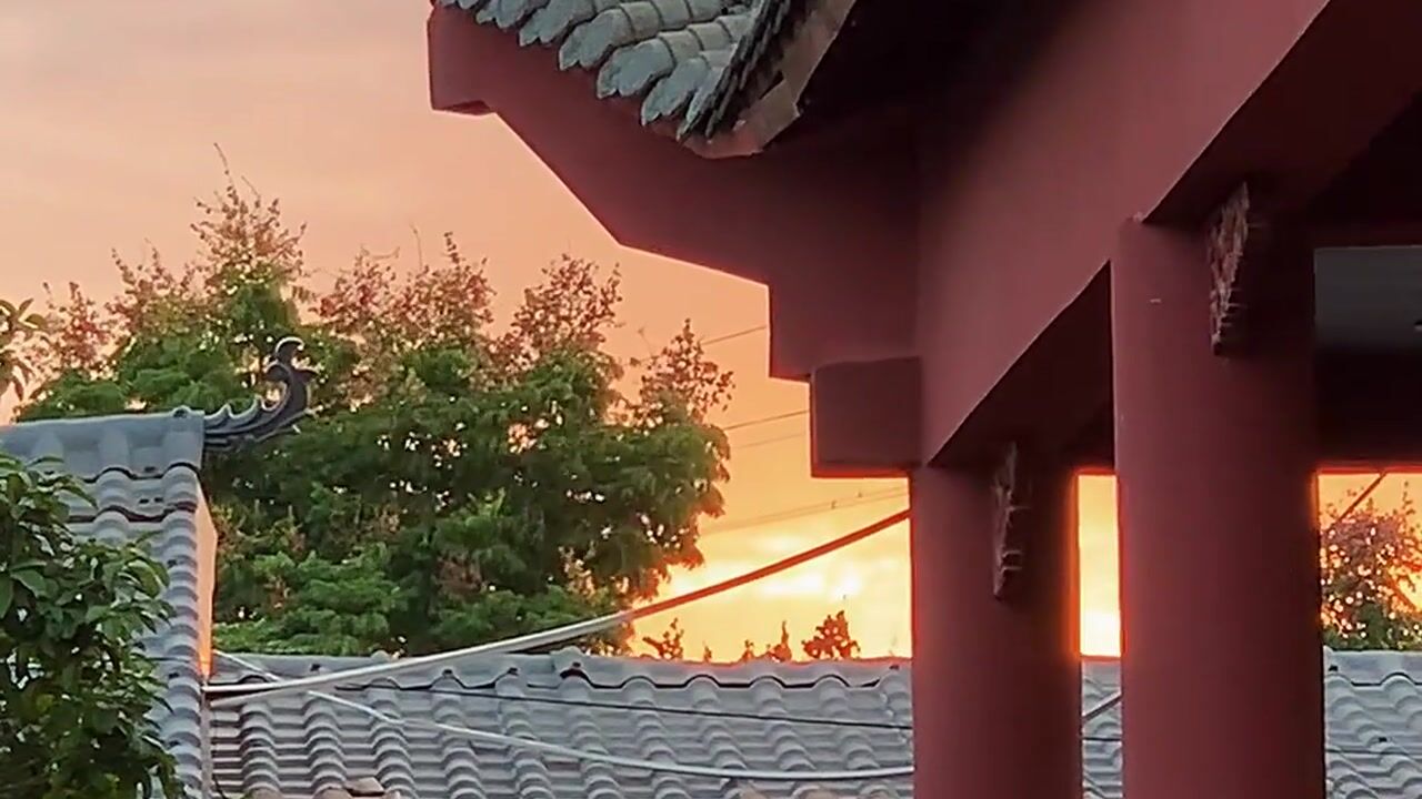 师傅弹古琴——真严法师
