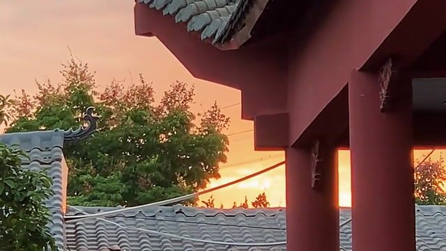 师傅弹古琴——真严法师