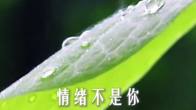 把负面情绪当作“贼”