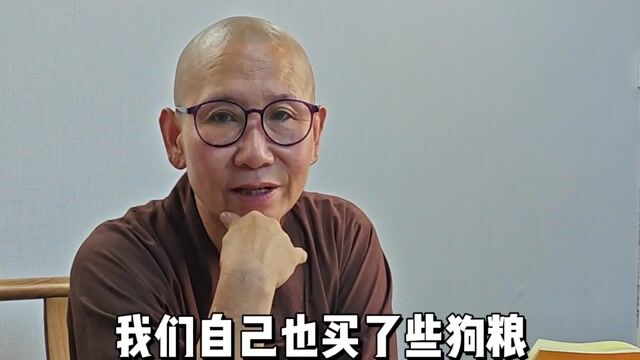 寺庙的狗狗是只吃素吗？——真严法师