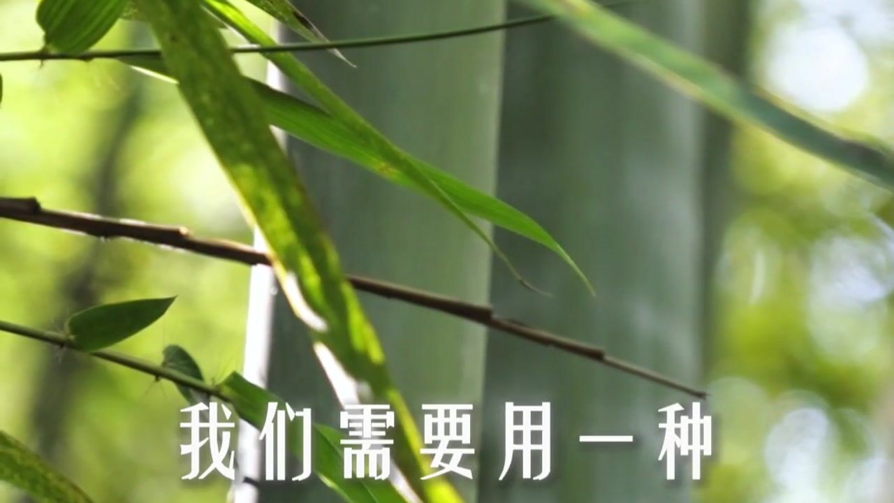 为什么不依「不了义法」？