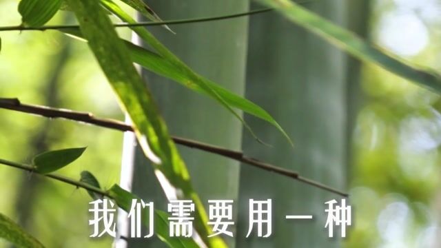为什么不依「不了义法」？