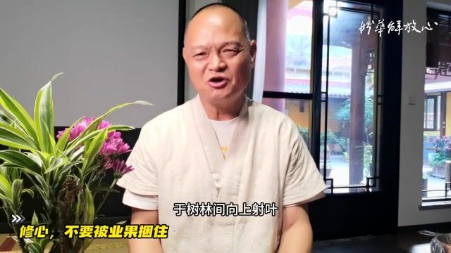 修心，不要被业果捆住