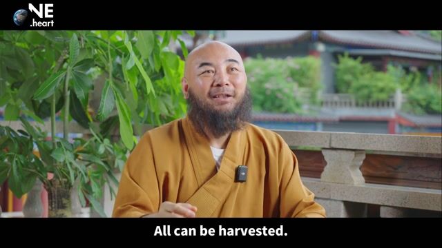 为什么有相当一部分人感觉工作是一种压力？——万行法师