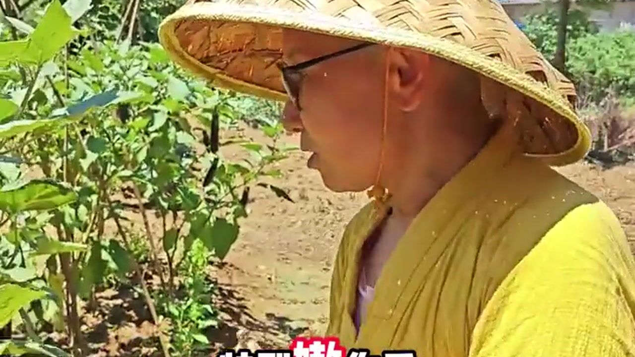 寺院每天都吃什么呢？-真严法师